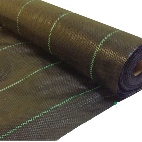 PP Woven Anti Weed Mat Supplier by Manufacturer