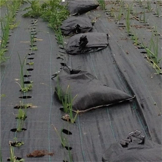 PP PE Woven Weed Mat for Anti-Grass Ground Cover