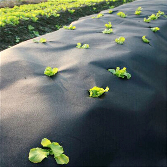 Black PP Woven Anti Weed Control Mat Ground Cover