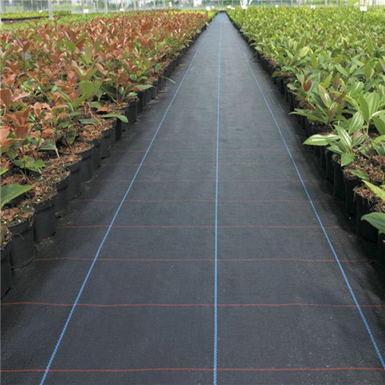 Agriculture PP Ground Cover Fabric Weed Control Mat Anti Weed Mat in Strawberry Garden