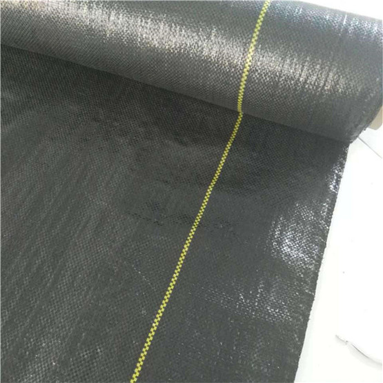 Biodegradable PP Spunbond Anti-Grass Cloth Nonwoven Fabric Weed Control Mat