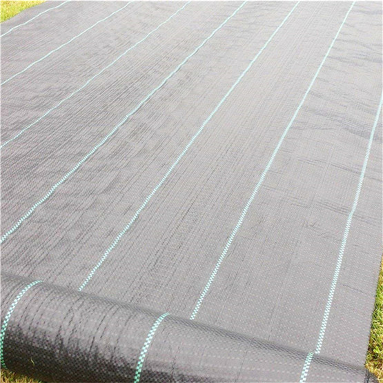 2m X 50m/Roll Anti Weed Mat with 80g