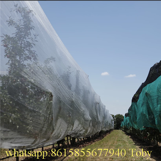 Insect Screen Wire Mesh Modified Special Dust Net Anti-Blocking Prevent Insect Screen Invasion Protective Locust Agricultural Insect Net for Plant