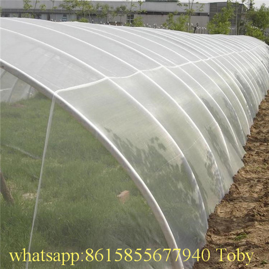 HDPE UV Greenhouse Anti Insect Net, Anti Insect Mesh, Anti-Aphid Net