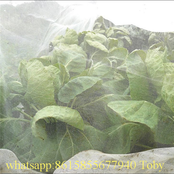 HDPE Anti-Insect Net with Certificate