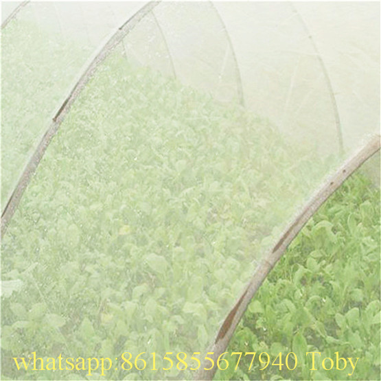 Insect Screen Wire Mesh Modified Special Dust Net Anti-Blocking Prevent Insect Screen Invasion Protective Locust Agricultural Insect Net for Plant