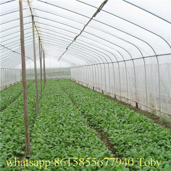 China High Quality HDPE Anti Insect Net Agricultural Net