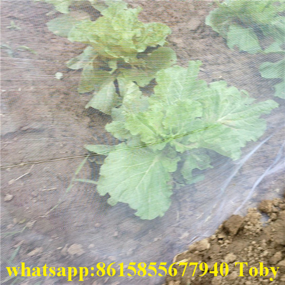 1m-2.5m Width Insect Net Anti-Bug Net Insect Protecting Net