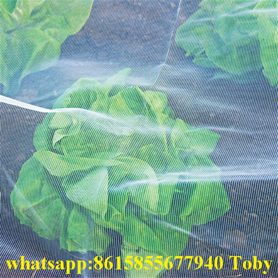 Plastic Anti Insect Net for Agricultural