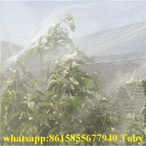 100% HDPE Anti Insect Net for Agriculture