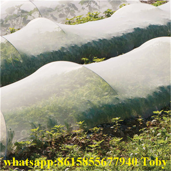 100% HDPE Anti Insect Net for Agriculture