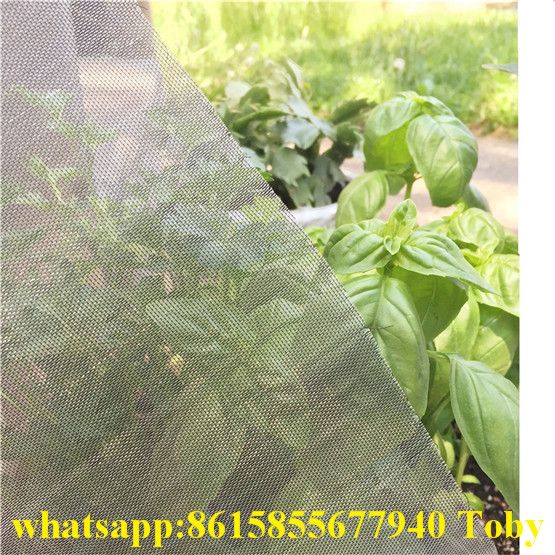 Insect Net Mosquito Nets Vegetable Anti Insect Net