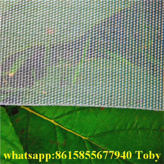 Insect Net Mosquito Nets Vegetable Anti Insect Net