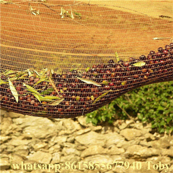 Free Air UV Resistant Agricultural Olive Net Scaffolding Net