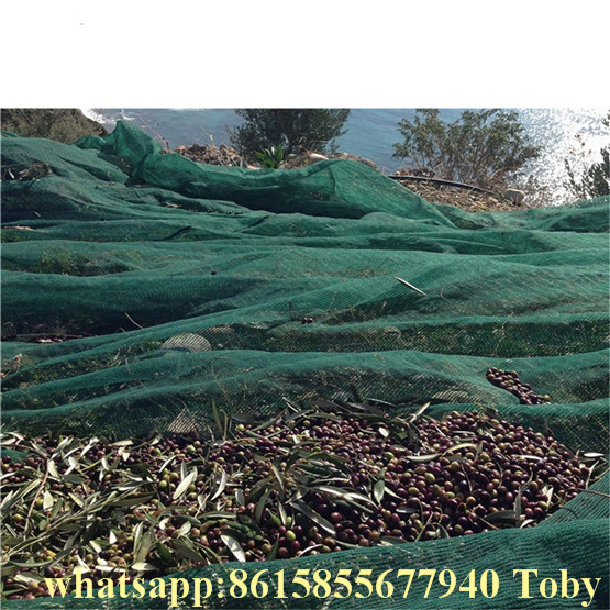 Olive Net 90GSM in Piece 5X8m, 5X10m, 6X10m, 6X12m, 7X12m, 7X14m, 8X12m, 8X14m, 10X10m