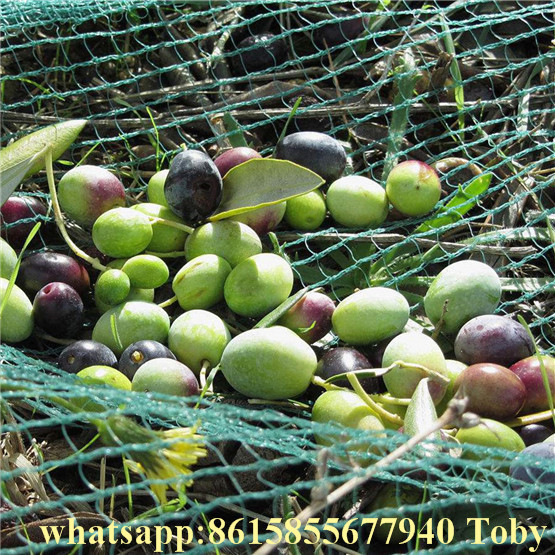 Olive Netting Olive Harvest Net Factory in China