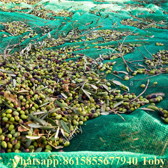 Olive Netting Olive Harvest Net Factory in China