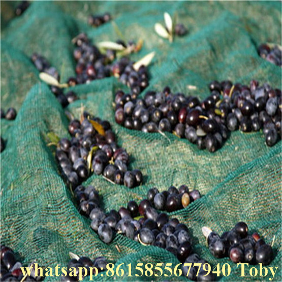 New 100% HDPE Agriculture Olive Fruit Net