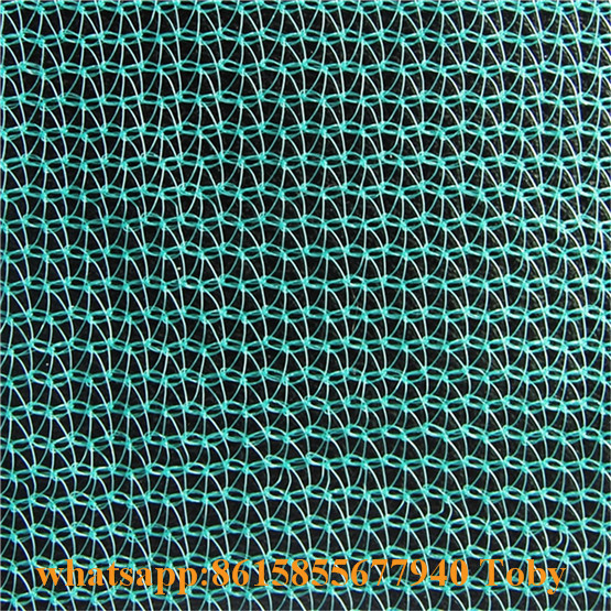 Plastic Debris Grid Mesh Net, Plastic Aquacultural Mesh Net, Plastic Multifunction Net, Fire-Retardant Construction Safety Net, Shade Net