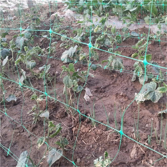 #new products agriculture use plant support net