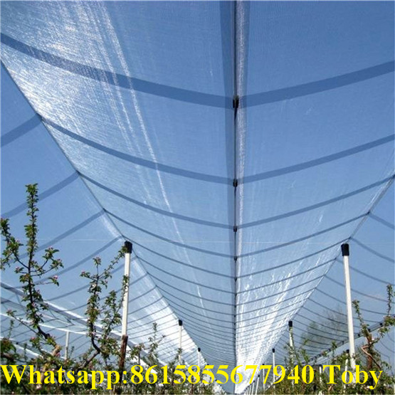 PE with UV 53gsm white color agriculture apple tree anti hail net