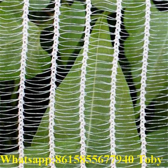 100% PE High Quality Anti Hail Netting 