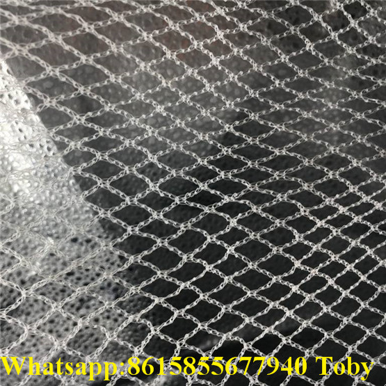 100% PE High Quality Anti Hail Netting 