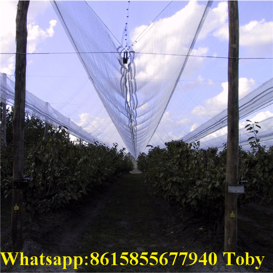 HDPE Apple Tree Anti Hail Net for Agriculture 