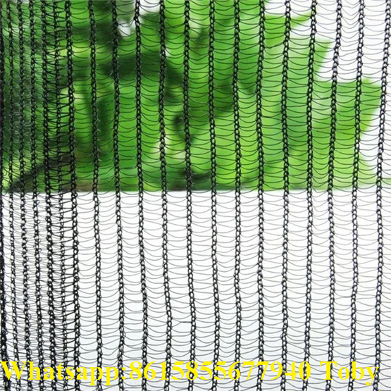 Agriculture 100% HDPE plastic with UV 2mmx7mm Anti hail net