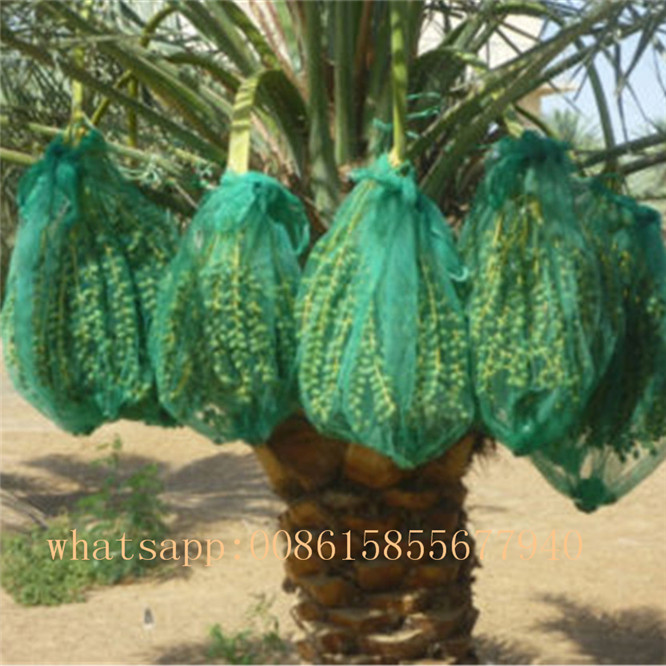 American Market 90*120cm Date Palm Bag Date Mesh Bag Mesh Bags