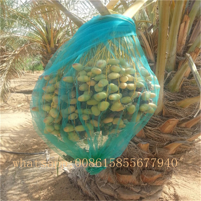 HDPE Monofilament 70*90cm Mesh Date Bag Mesh Net Bag for Date Palm Protecting