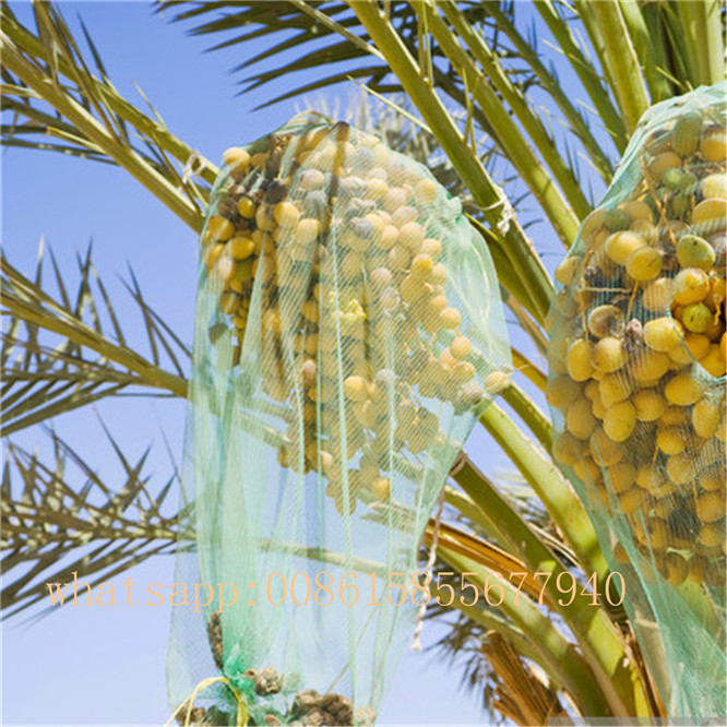 PE Date Mesh Bag Mesh Bag for Protect and Collect Date Palm Bag