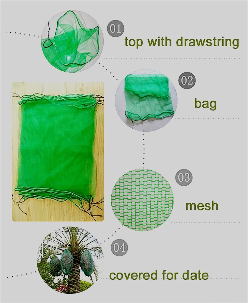 70X90cm Green Mono Filament Tree Date Palm Mesh Net Bag