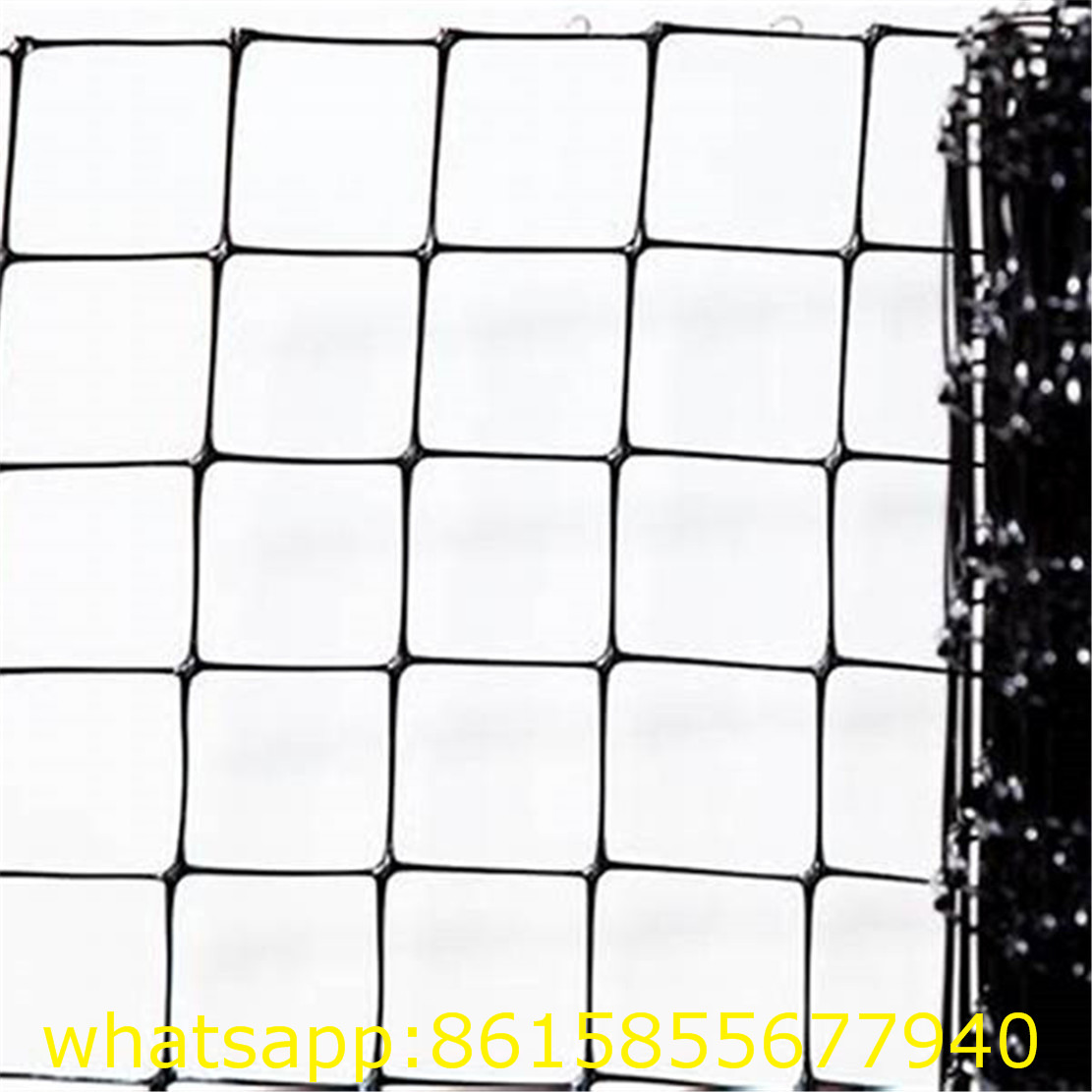 Quality Protection Invisible Mesh Anti Bird Netting Anti Mole Netting to Protect Your Yard 