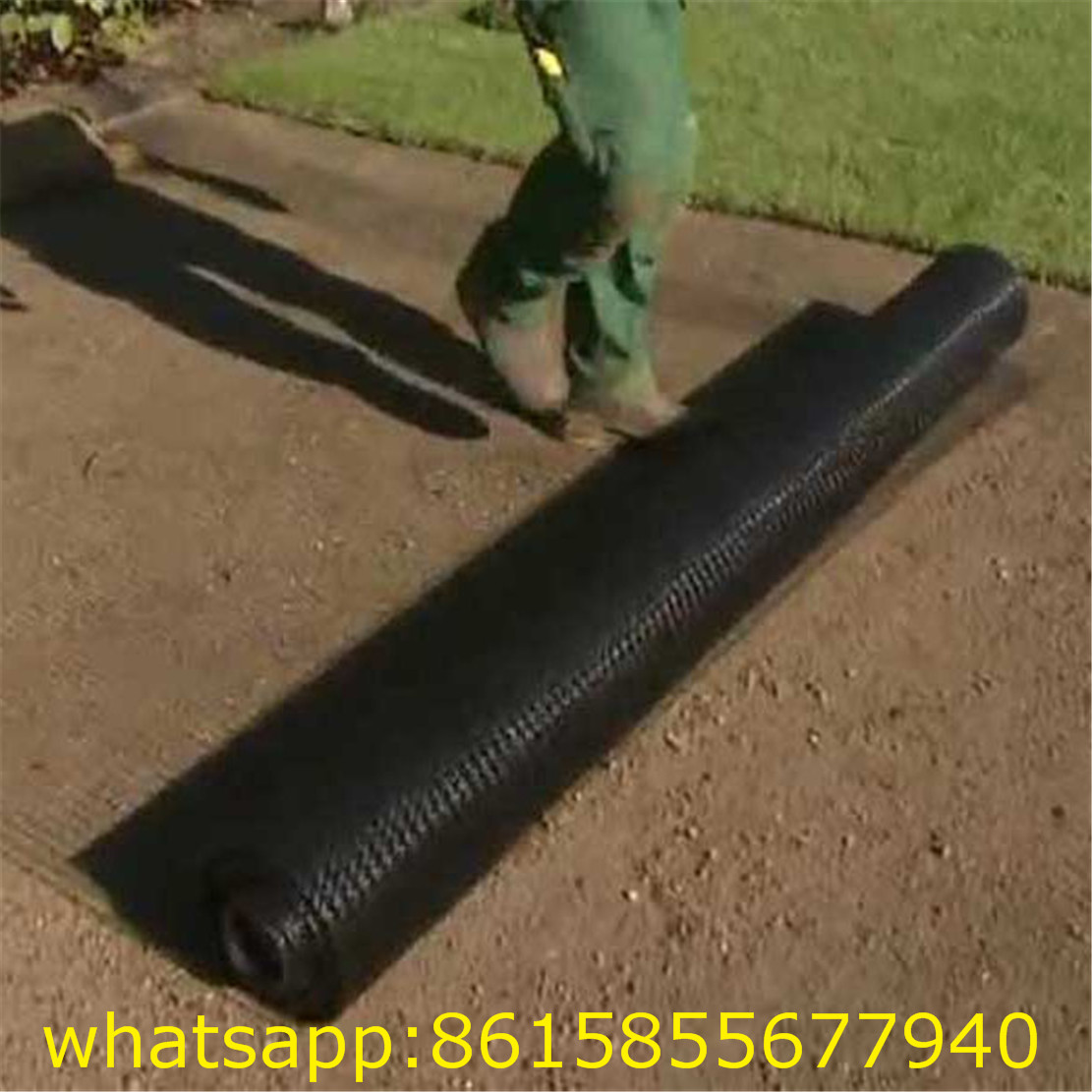 Polypropylene extruded anti moles netting/Black Plastic Net Anti Mole 