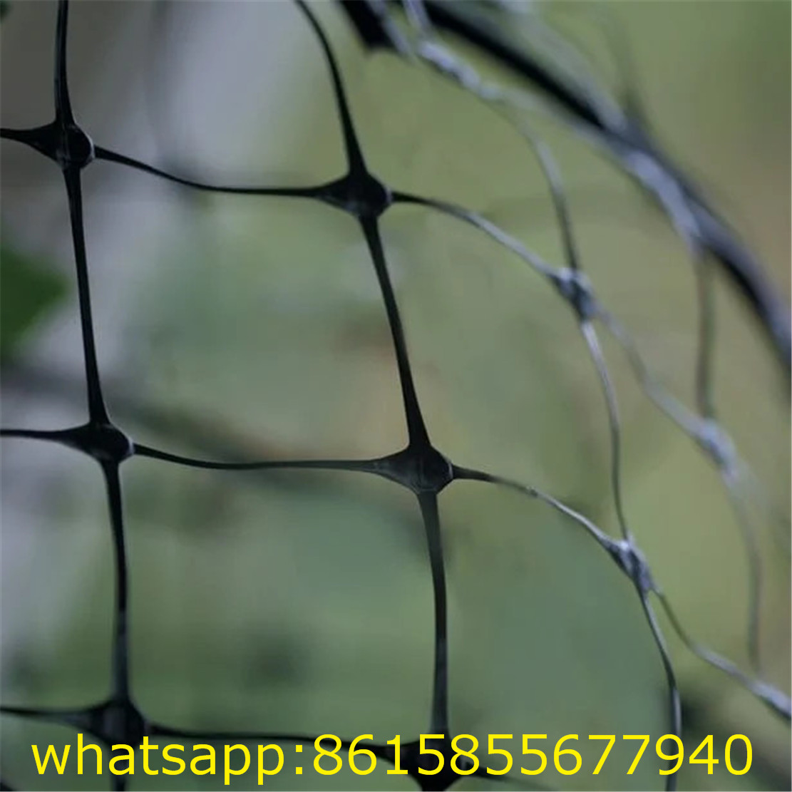  Mesh Anti Bird Netting Anti Mole Netting to Protect Your Yard 