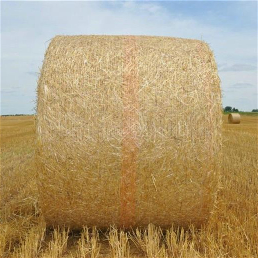 Agricultural White Packing Round Silage/Grass Hay Bale/Bales Wrap Net for South America